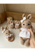 Handmade Crochet Bunny in White Dress Toy Gift Set (3pc)