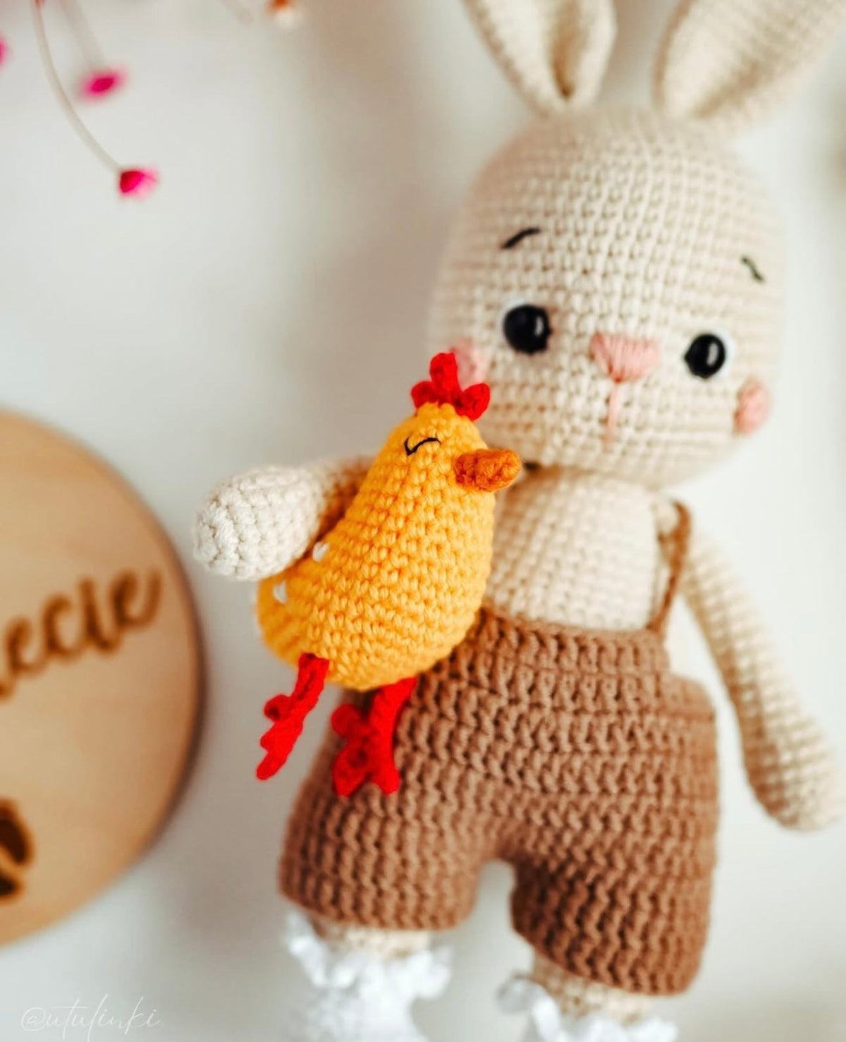 Crochet Cute Bunny Boy Toy with his small Chick